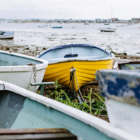 a group of colourful rowing boats sitting on the shore with the sea in the background