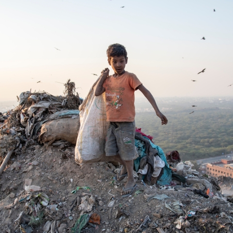 Boy in Delhi, India, collecting rubbish