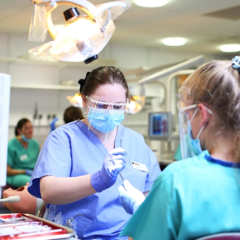 Dental professionals working in a dental surgery