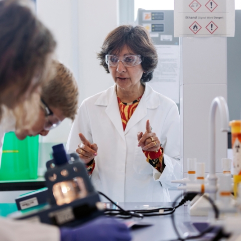 Photo of female staff member in lab coat presenting experiment
Salter Festival of Chemistry
NOT FOR THIRD PARTY CONSENT