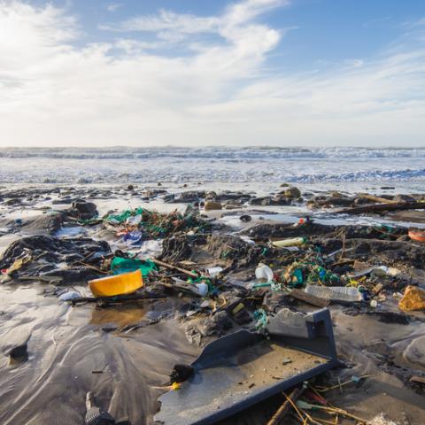plastic pollution on a beach