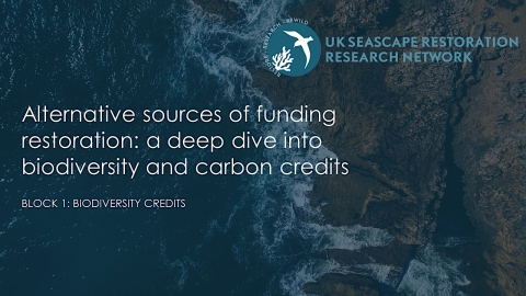 Alternative sources of funding restoration: biodiversity credits