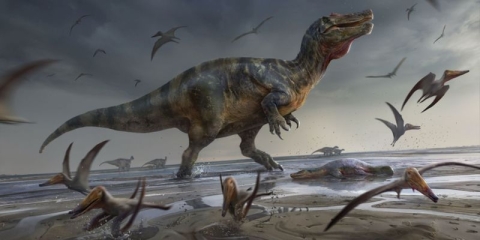 Illustration of White Rock spinosaurid