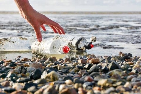 Hand picking up plastic bottle on a beach