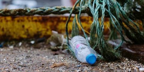 Empty plastic bottle stuck in fishing rope.