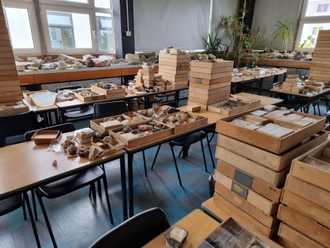 One of the palaeontology classrooms filled with items in boxes from the collection
