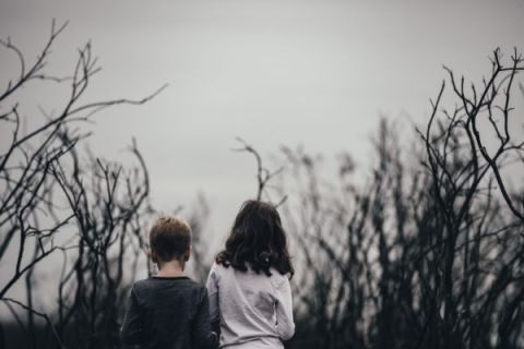 Two children walking through a spooky forest