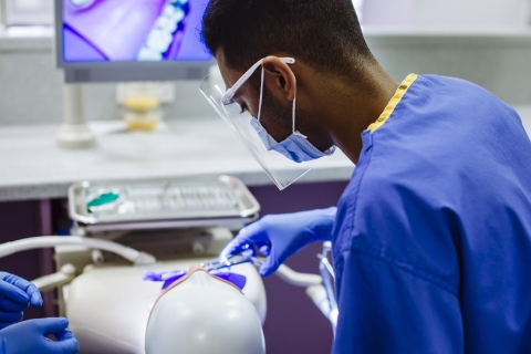 Dental student practising on a subject