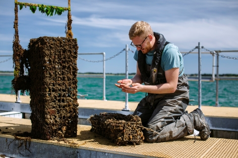 Male student observing marine life sample on pontoon
