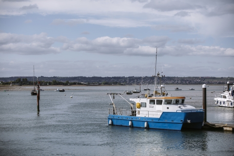 The boats in Langstone harbour