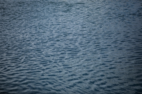 IMS Pontoon; 18th June 2019