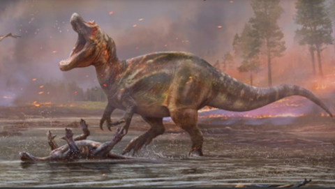 An artist's impression of two dinosaurs fighting