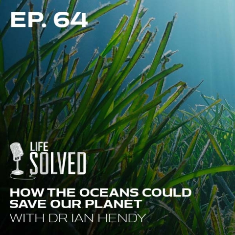 How the oceans could save our planet