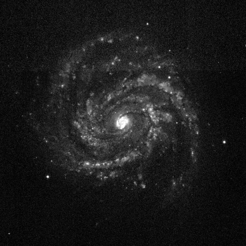 A black and white image of a galaxy