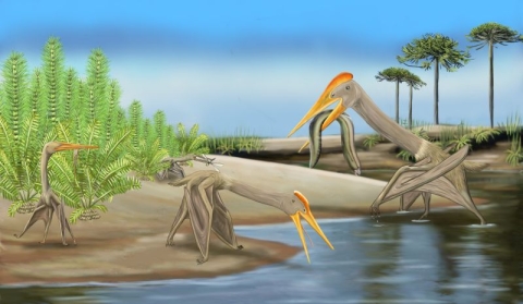 An artist’s impression of the hatchling pterosaurs. Image credit: Megan Jacobs