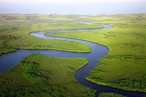 A river delta