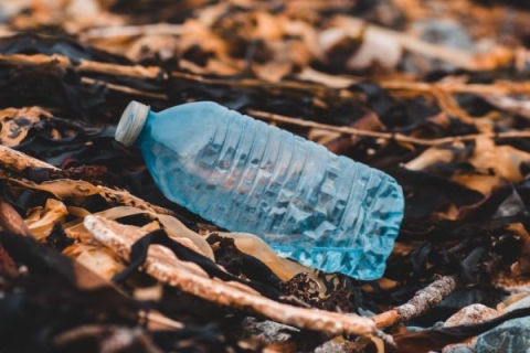 A clear plastic bottle on the ground surrounded by dirt and leaves