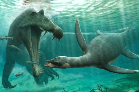 A artist's impression of a plesiosaur dinosaur about to be eaten by a Spinosaurus, the largest predatory dinosaur known.