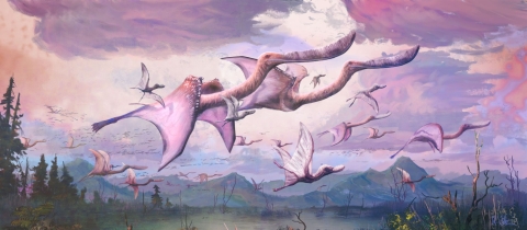 Pterosaurs flock