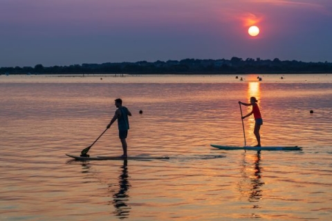 Two paddle-boarders on water