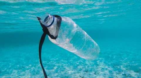 An empty plastic bottle floating in an ocean | Photo by Brian Yurasits on Unsplash