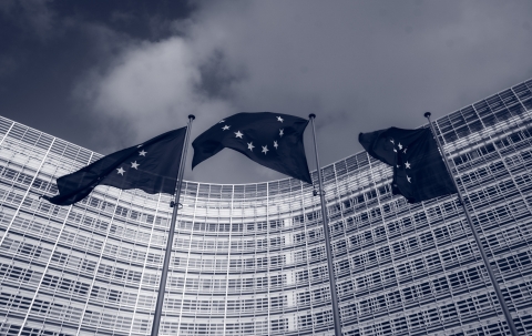 Picture of three EU flags - Photo by Christian Lue on Unsplash