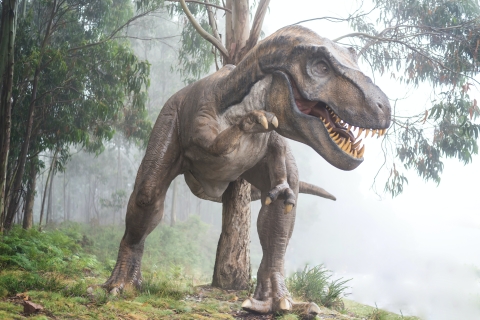 Artists impression of a T-Rex dinosaur