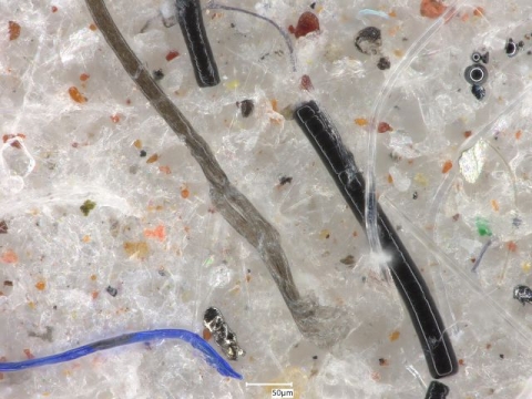 cruise microfibre sample