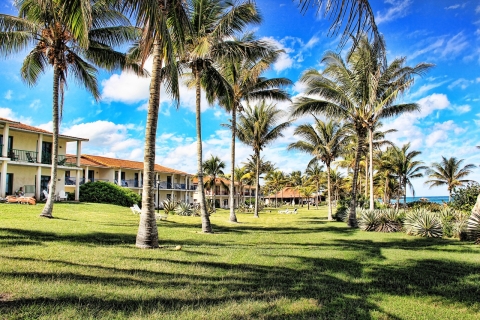 A hotel resort with palm trees