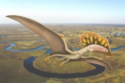 Artists impression of the Isle of Wight pterodactyl