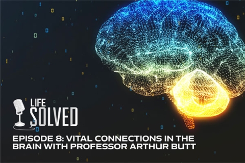Life Solved Episode 8: Vital Connections in the Brain