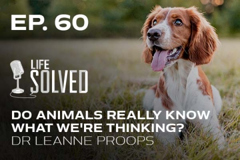 Do Animals Really Know What We're Thinking? | Life Solved | Podcast |  University of Portsmouth