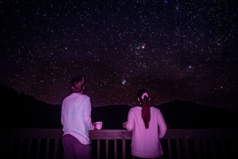 Two people looking up at the night sky