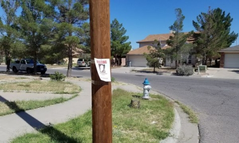 Picture of neighborhood with a missing persons paper pinned on a pole