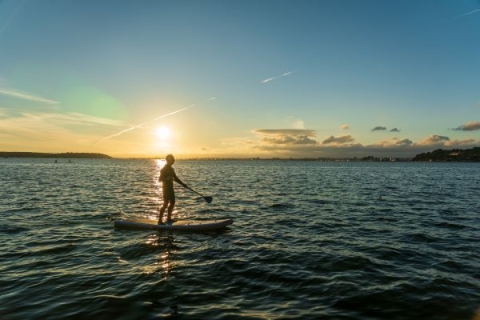 Paddle boarder in the sea