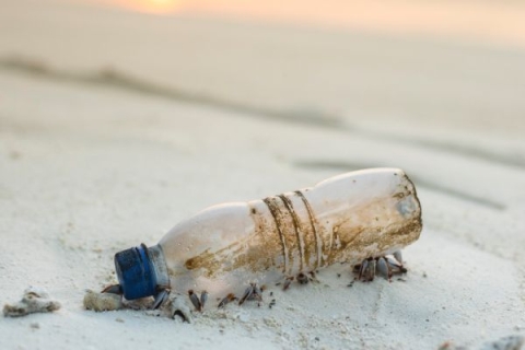 An empty plastic bottle lying on a sandy beach