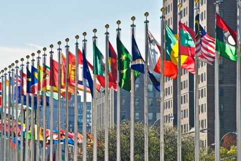Line of flags