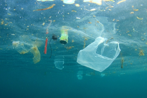 plastic bags and other plastic waste floating in the ocean