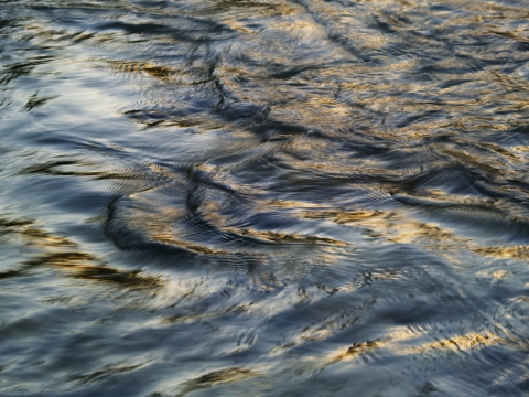 water unsplash image