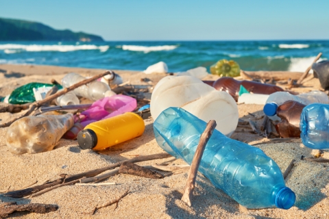 Plastic waste on sunny beach