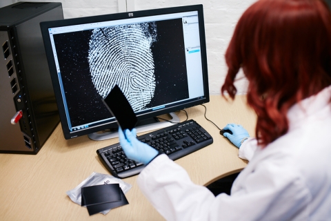 female forensics researcher analysing fingerprint scan on a computer