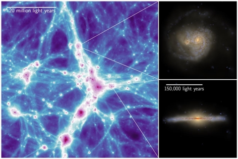 Visual impressions of the COLIBRE simulations