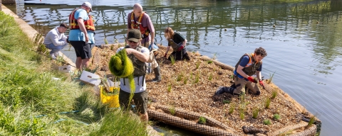 Students work together on a floating planting platform in a river, planting vegetation and collecting aquatic plant material beneath a pedestrian bridge.