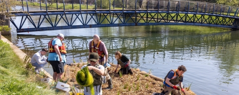 Students work together on a floating planting platform in a river, planting vegetation and collecting aquatic plant material beneath a pedestrian bridge.