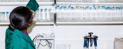 Biotechnology student in a lab, reaching up to a shelf full of glass containers