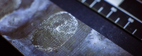 Fingerprint analysis