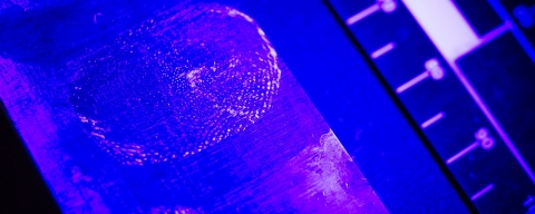 Close up of fingerprints