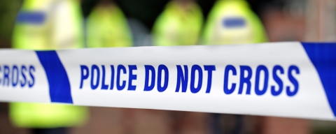 STANDARD LICENSE; PLEASE SEE ADDITIONAL ASSET FOR FULL LICENSE TERMS.