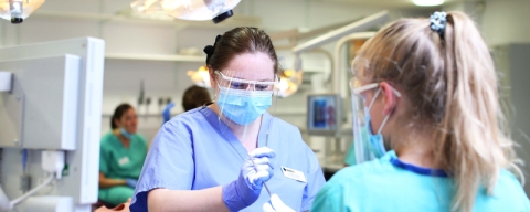 Dental professionals working in a dental surgery