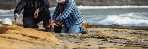 Student and tutor examining rocks on coast